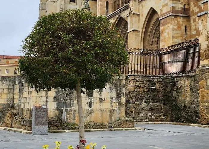 Leon Hostel Auberge de jeunesse León